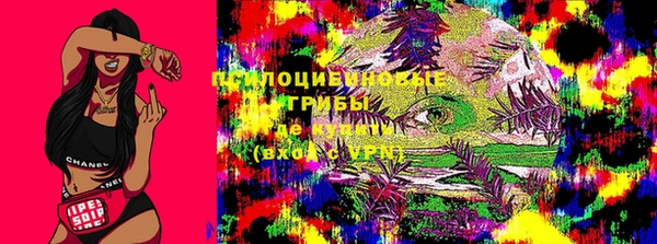 прущая мука Гусев