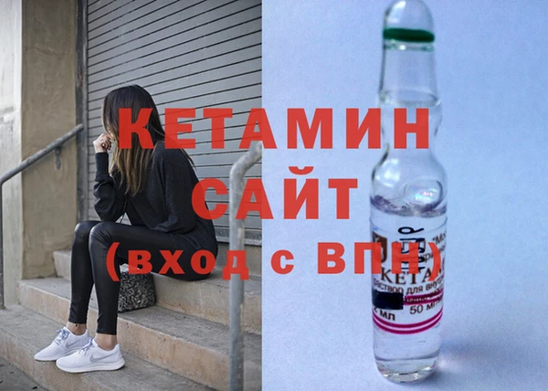 ECSTASY Гусь-Хрустальный