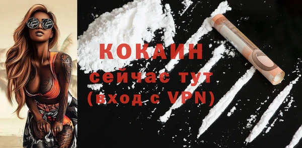 ECSTASY Гусь-Хрустальный