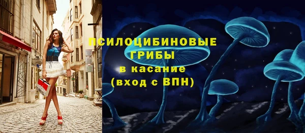 прущая мука Гусев