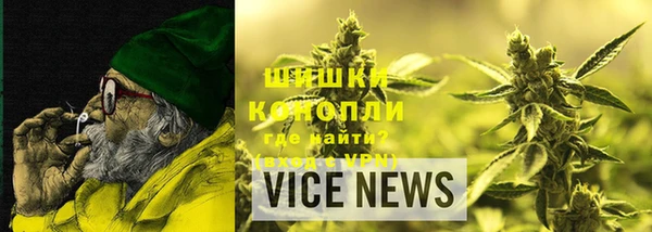 ECSTASY Гусь-Хрустальный