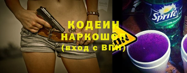 ECSTASY Гусь-Хрустальный